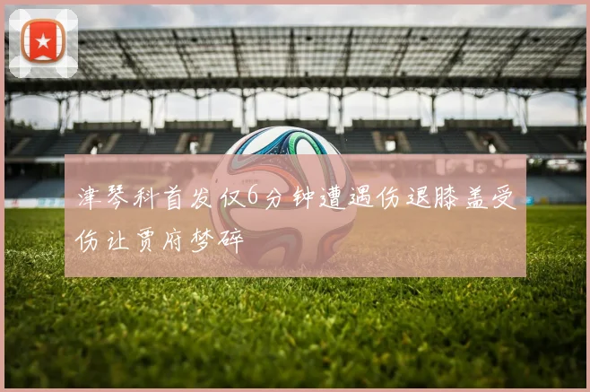 津琴科首发仅6分钟遭遇伤退膝盖受伤让贾府梦碎