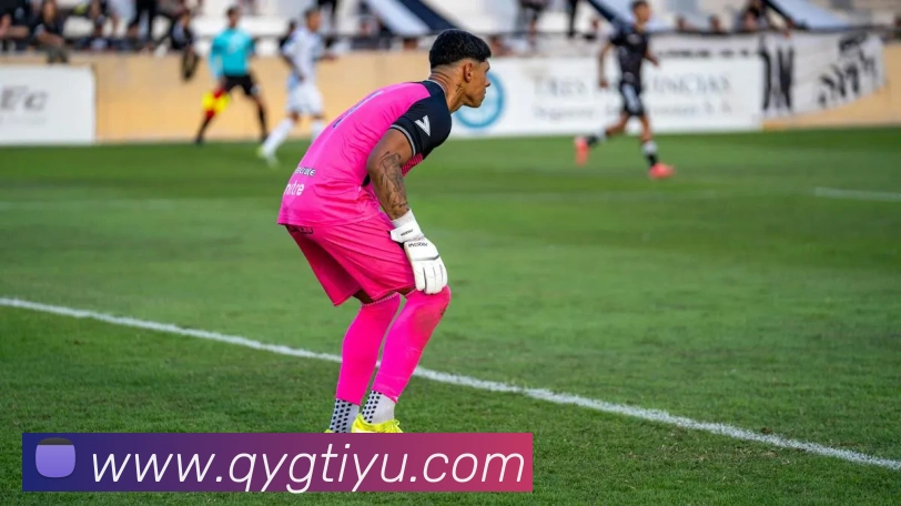 奇异果体育服务体系